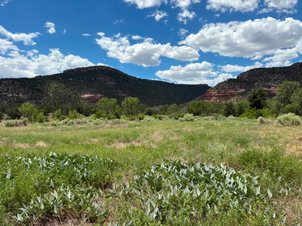 Grasslands and mesas in the Canadian River watershed